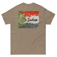 Load image into Gallery viewer, Unisex classic tee