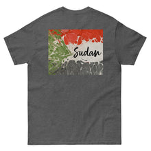 Load image into Gallery viewer, Unisex classic tee